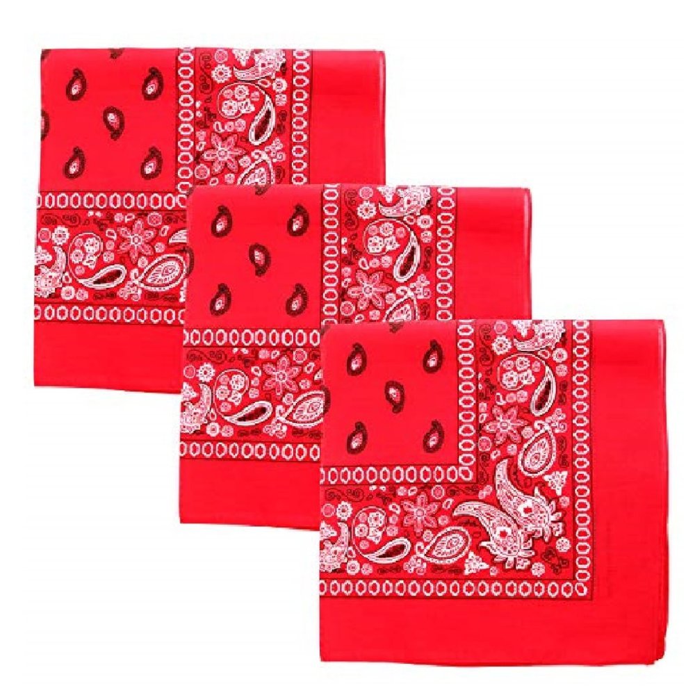 Paisley 3 piece Assorted Cotton Bandanas